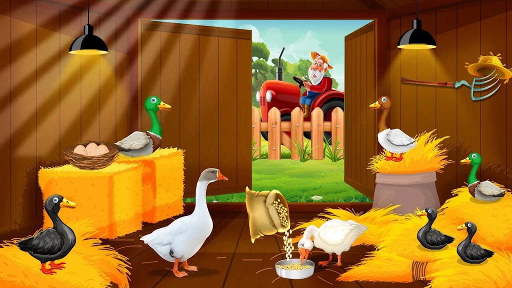 Duck Farm Eggs Chicken Poultry Screenshot4