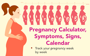 Pregnancy calculator, symptoms Screenshot1