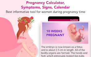 Pregnancy calculator, symptoms Screenshot2