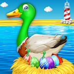 Duck Farm Eggs Chicken Poultry APK