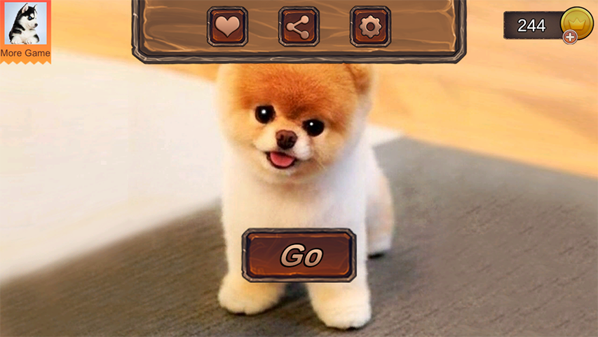 Pomeranian Dog Simulator Screenshot1