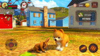 Pomeranian Dog Simulator Screenshot3