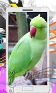 Parrot Sounds Screenshot1