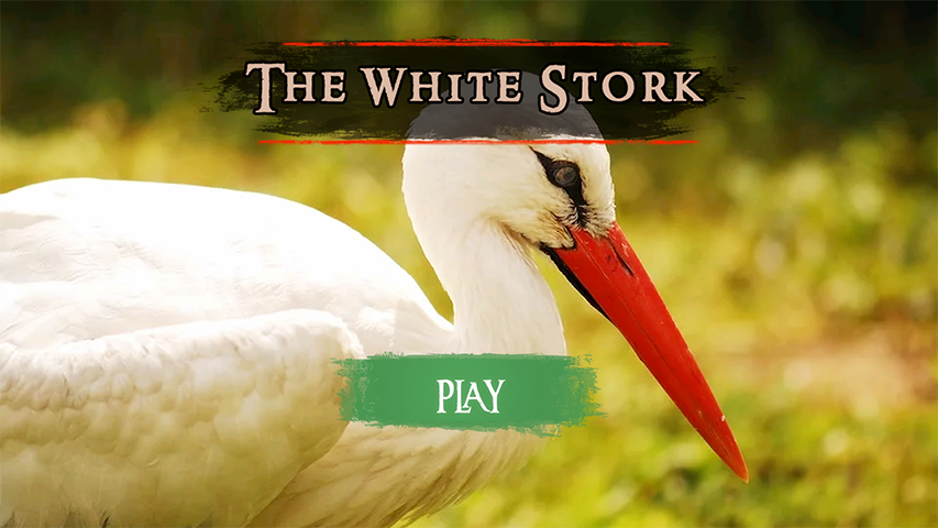 The White Stork Screenshot1