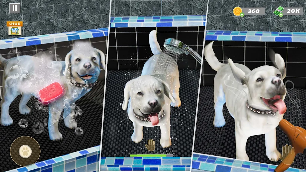 Animal Shelter Pet Rescue Game Screenshot3