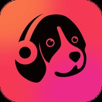 Muso Player-Music Player&Mp3 APK