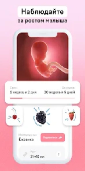 MAAM Отслеживание беременности Screenshot3