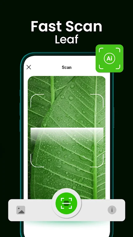 Bloomify - Plant Identifier Screenshot2