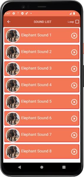 Elephant Sounds Screenshot1