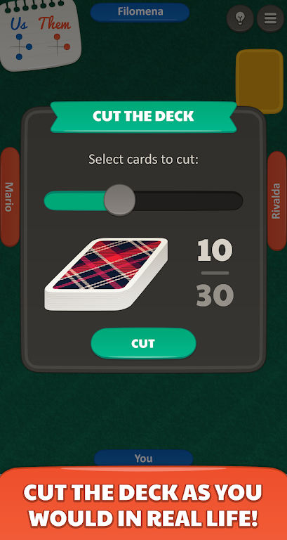 Sueca Jogatina: Card Game Screenshot3