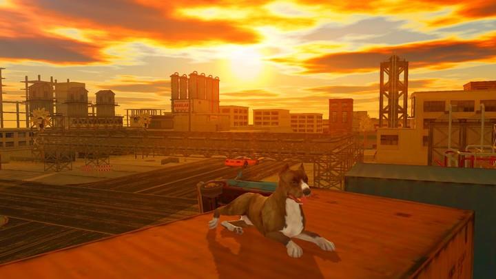 Pitbull Dog Simulator Screenshot3