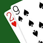 29 Card Game - Expert AI APK