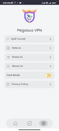 Pegasus VPN Lite Screenshot13