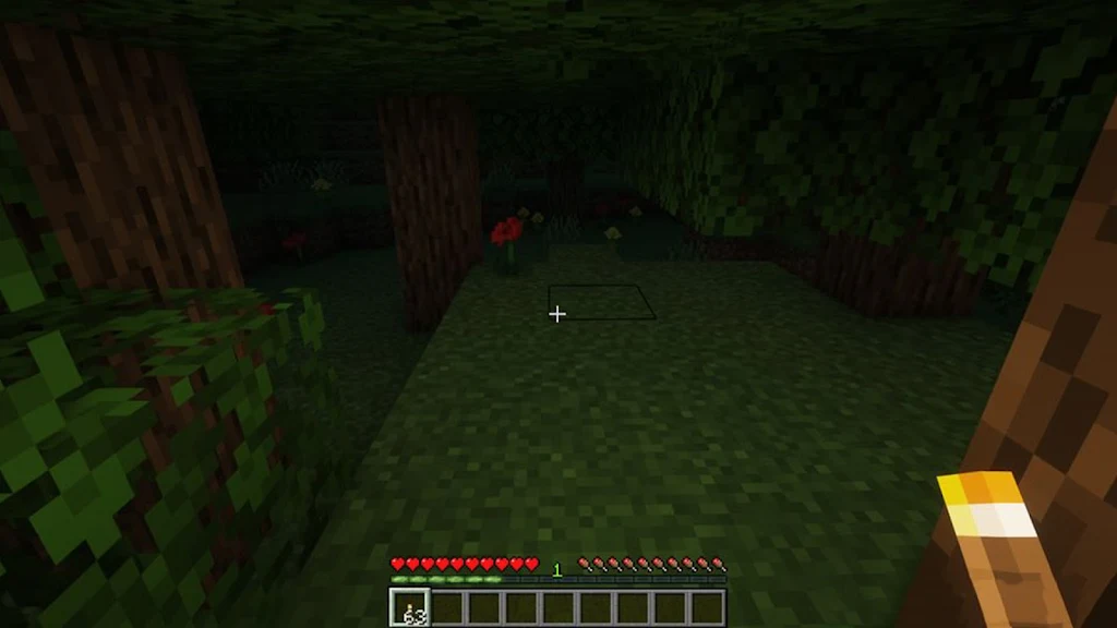 Raiyons Lights Mod Minecraft Screenshot3