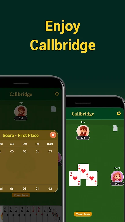 Call bridge offline & 29 cards Screenshot3