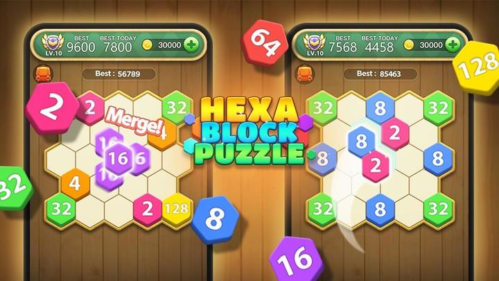 Hexa Block Puzzle - Merge Puzzle Screenshot2