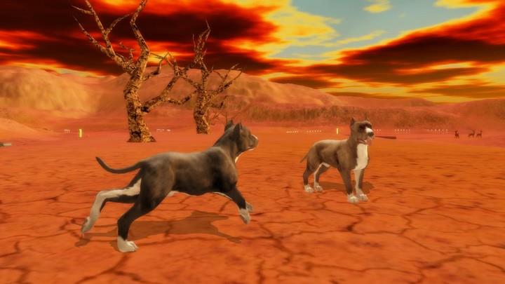 Pitbull Dog Simulator Screenshot4