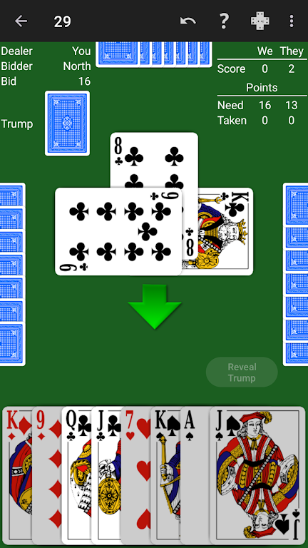 29 Card Game - Expert AI Screenshot1