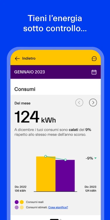 NeN - Energia in abbonamento Screenshot3