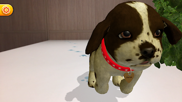 My Perfect Puppy Screenshot3