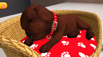 My Perfect Puppy Screenshot5