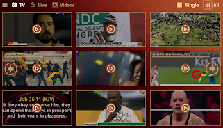 2С TV Screenshot5