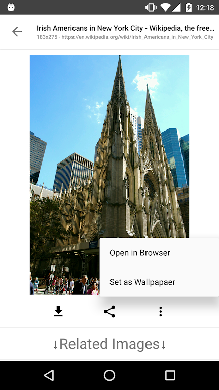 ImageSearchMan - Image Search Screenshot4