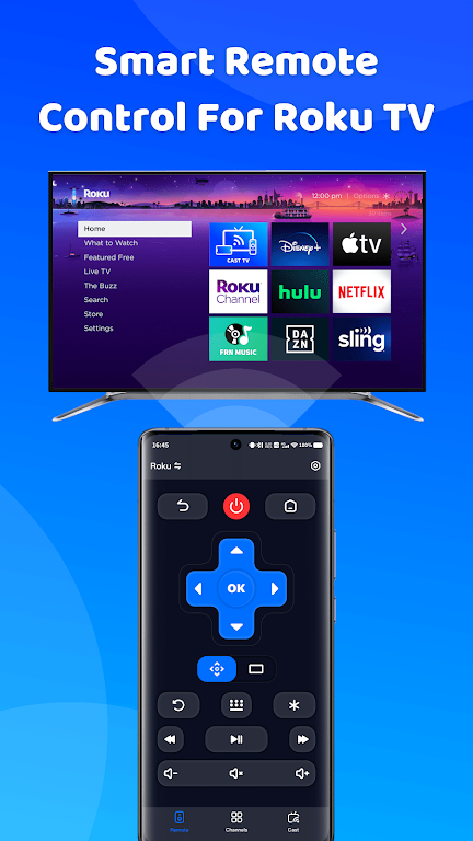 Roku Remote Control & TV Cast Screenshot1