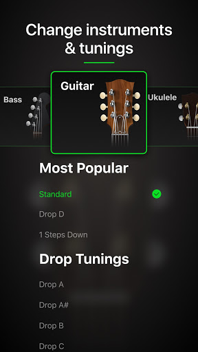 Guitar Tuner Pro Music Tuning Screenshot2