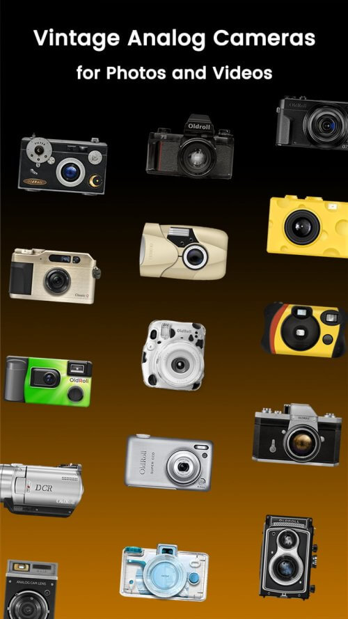 Disposable Camera - OldRoll Mod Screenshot1
