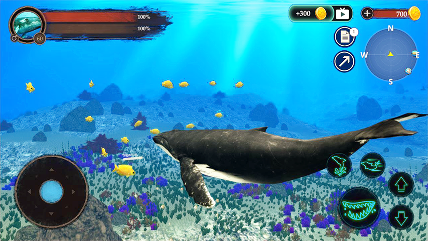 The Humpback Whales Screenshot3