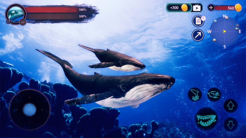 The Humpback Whales Screenshot1