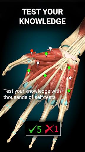 Anatomy Learning - 3D Atlas Screenshot3