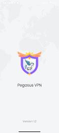 Pegasus VPN PRO Screenshot8