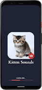 Kitten Sounds Screenshot4