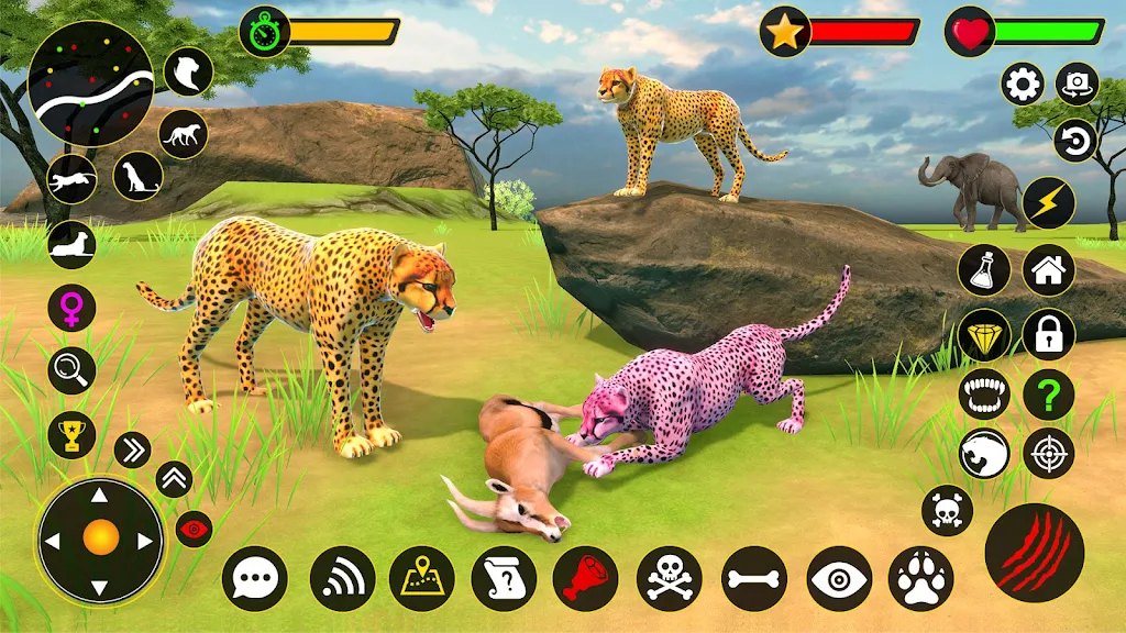 Cheetah Simulator Cheetah Game Screenshot1