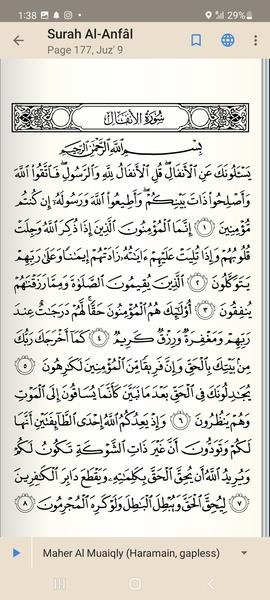 Holy Quran: القرآن الكريم Screenshot5