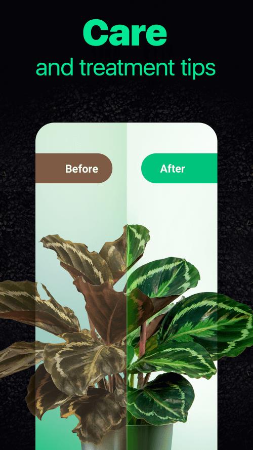 NatureID Screenshot2