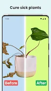 PlantCam: AI Plant Identifier Screenshot4