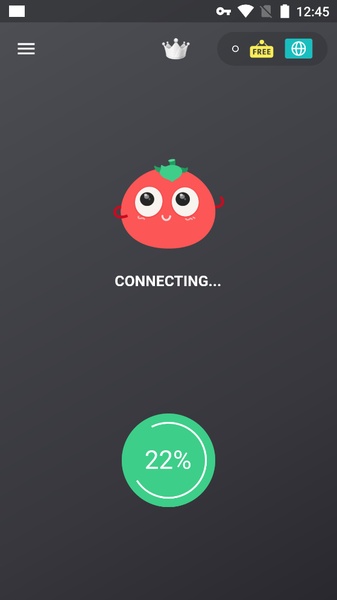 VPN Tomato Screenshot1