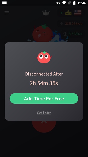 VPN Tomato Screenshot5