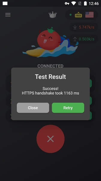 VPN Tomato Screenshot2