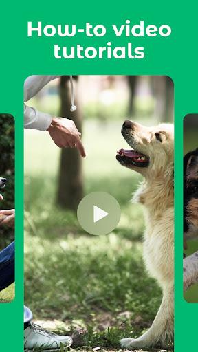 Dogo - your dog's favourite app Screenshot4