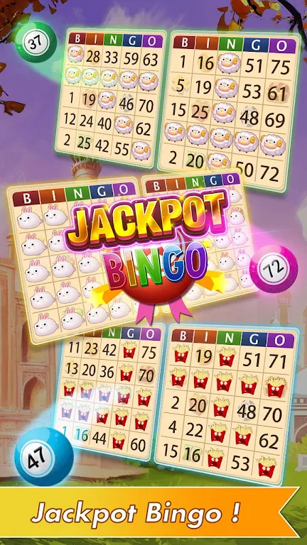 Trivia Bingo - USA Bingo Games Screenshot1