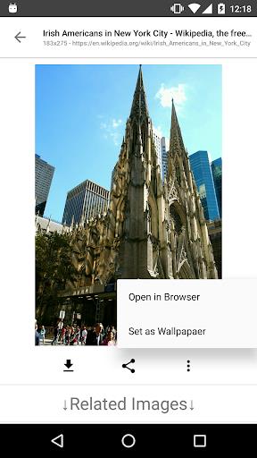 ImageSearchMan - Search Images Screenshot4