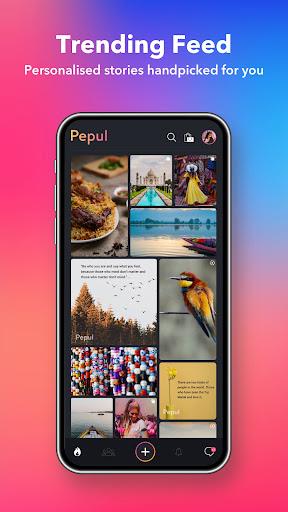 Pepul:Social media from India Screenshot1