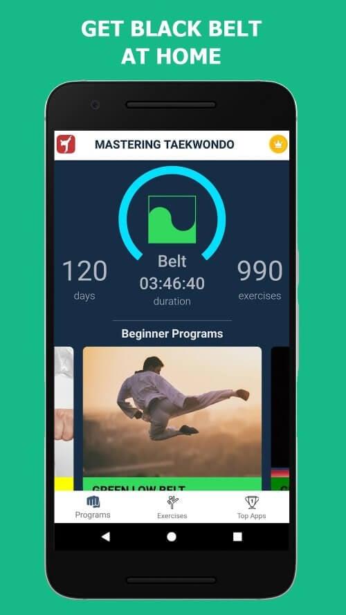 Mastering Taekwondo at Home Screenshot3
