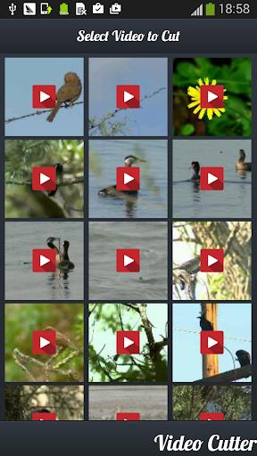 Video Cutter : Video Trimmer Screenshot3