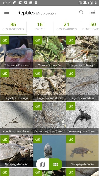 iNaturalist Screenshot2