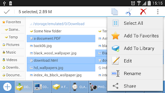 Computer File Explorer Screenshot1